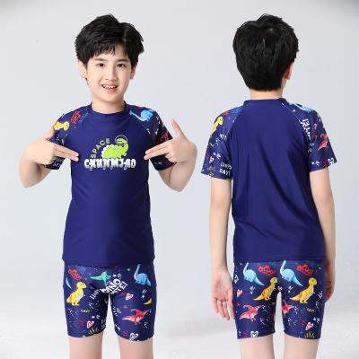 China Breathable 2022 Wholesale OEM Boys Swimwear Kids Bikini Boys Shorts Two Piece Swimsuit Beach Wear for sale