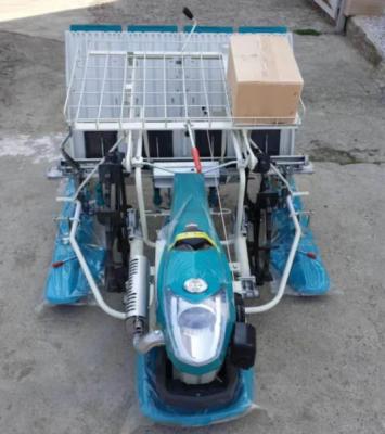 China Farmer 2020 new Walk-behind 6 row manual rice transplanter, manual walking rice planting machine for sale