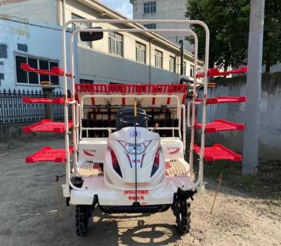 China VP6D and YR60D and YR80D Farmer's Rice Transplanter Turn-on Rice Transplanter for sale