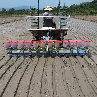 China Agricultural Planter Sow Planter Rice Paddy Drill Machinery Repairs Machinery Workshops 10 Rows 8 Rows Directly for sale