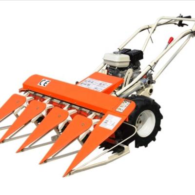 China Rice Wheat/Rice Harvester/Corn Harvester With Tractor for sale