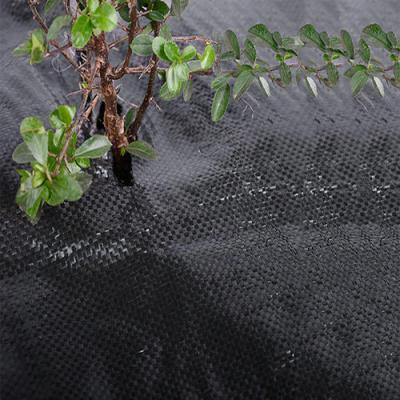 China Anti-grass PP Weed Mat Weed Protection Landscape Sheet /Plastic Mat Of Agricultural Weed Control for sale