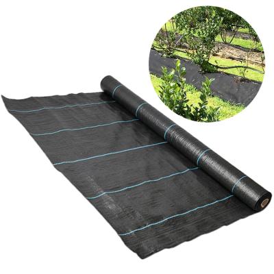 China Anti-grass PP Weed Mat For Agriculture Plant Weed Mat Ground Cover Agriculture Weed Mat With Fence for sale