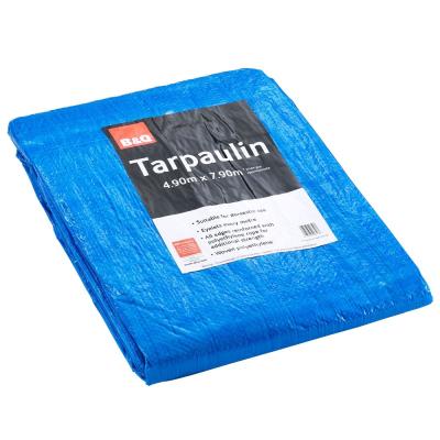 China Waterproof pe 50gsm blue tarpaulin blue pe tarpaulin plastic sheet roll for truck cover&boat for sale