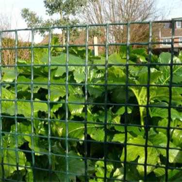 China ECO FRIENDLY White Plastic Mini Garden Lawn Edging Plastic Garden Fence / Extrusion Square Mesh Fence for sale