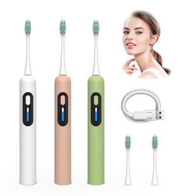 China New Wholesale Rechargeable ABS+PP Ultrasonic Head Electric Adult Deep Cleaning Electric Toothbrush For Adult for sale