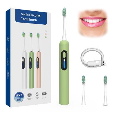 China Sonic Electric Toothbrush USB Rechargeable Powerful Rechargeable Ultrasonic Toothbrushes Washable Electronic Whitening Teeth Brush for sale