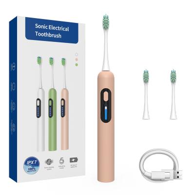 China New Design Battery Operated Electric Adult Ultrasonic Toothbrush With High Quality for sale