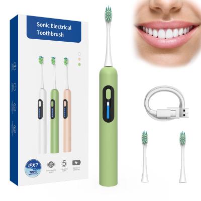 China USB Charging Sonic Electric Toothbrush Adult IPX7 2-in-1 Global Charger Version Electric Toothbrush for sale