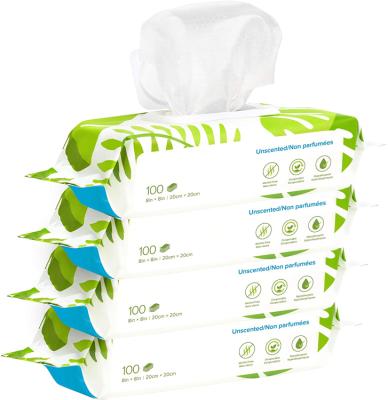 China Sustainable Pet Grooming Wipes Biodegradable Pet Cleaning Moist Eye Moist Ear Tooth Pet Wipes for sale