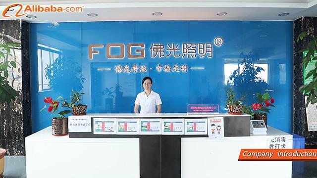 Verified China supplier - Shenzhen Fog Lighting Co., Ltd.