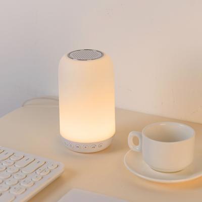 China Touch Control Led Touch Light Home Sensor Lighting Atmosphere Family Night Cute Lamp for sale