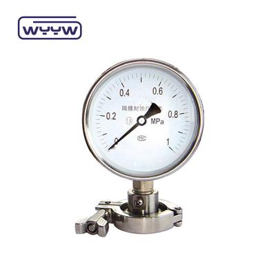 China 100mm NPT Thread Standard Diaphragm Pressure Gauge with Direct Bottom Mounting Type for sale