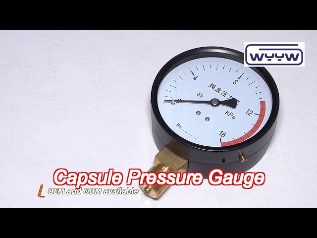 black steel lpg low capsule pressure gauge 2.5