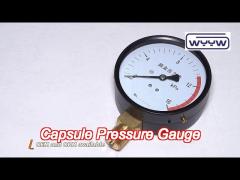 black steel lpg low capsule pressure gauge 2.5