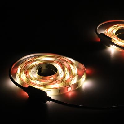 China Waterproof China Manufacture 1 Wired 2 Led Strips With Motion Sensor Christmas Strip Light for sale