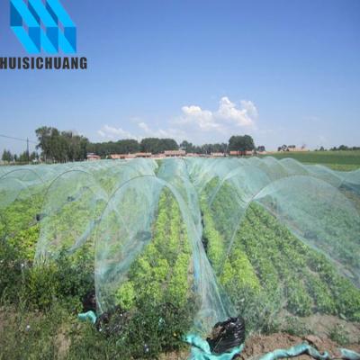 China New 100% Supply China Huisichuang HDPE Agricultural Plant Protection Apple Tree Hail Protection Net Crops Anti Franco Camion for sale