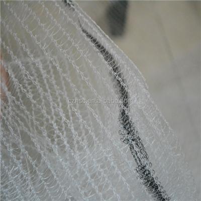 China HDPE +UV Stabilized Changzhou HuiSiChuang Anti Bird Hail Net For Fruit Plantations With CE Certification for sale