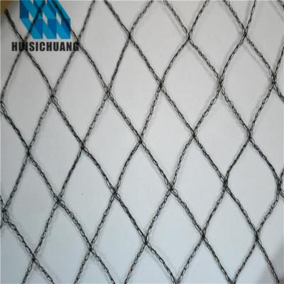 China Promotional HDPE Vegetable Anti-bird Mesh Knotless Netting Netting For Garden for sale