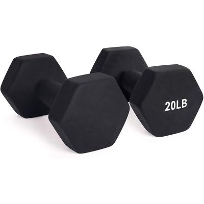 China Dumbbell Universal Cheap Colorful Yoga Equipment Gym Set Weight Dumbbell Sports Small Dumbbells for sale