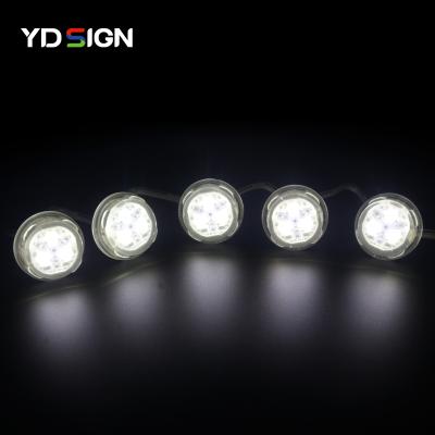 China Signage good quality12V IP68 30mm led pixel lights for home or building Signage for sale