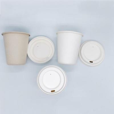 China Disposable Biodergradable Sugar Cane Pulp Cups for sale