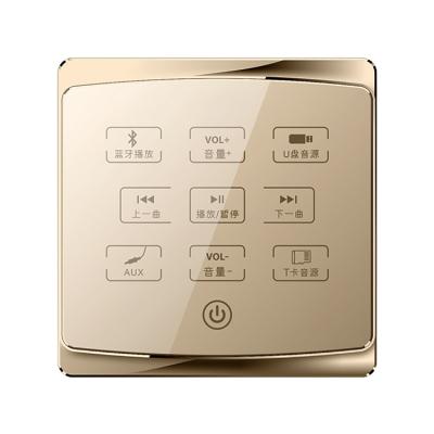 China Mini Smart Home 2.8inch Background Music BT Wall Amplifier for sale