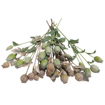 China High Quality Transient Autumn Dried Single Branch Artificial Poppy Fruit Branch Factory Wholesale Home Decoration For Wedding for sale