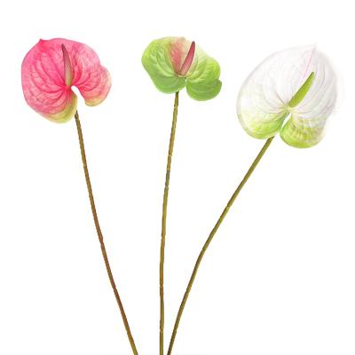 China 2022 Minimalist Factory Hot Selling High Quality Artificial Flowers Choose Small Anthurium Wedding Home Decor Flowers 3D Printing Succulent PU for sale