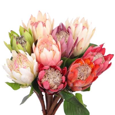 China Transient Factory Direct Artificial Plants Flower Protea Cynaroides Artificial Large Silk King Protea King Protea for sale