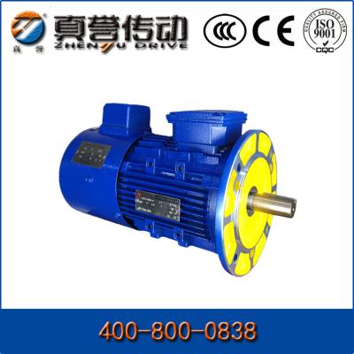 China 1HP 2HP 3HP Induction Ac Motor Single Phase 3 Phase Electric Motors IP44 / IP54 for sale