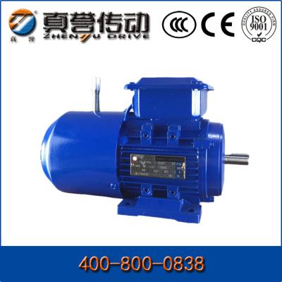 China YEJ Series Small Induction Electric Motor 1hp 3hp Electric Vehicle Motor 315kW for sale