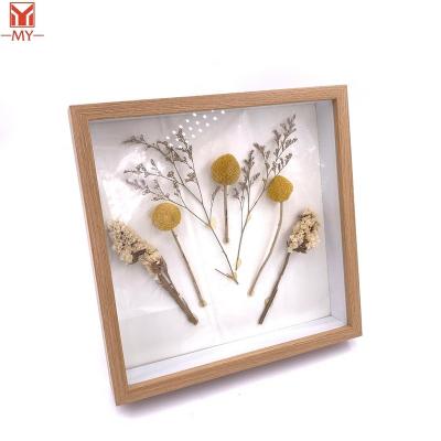 China Hot Sale Plant Specimen Simplicity Flower Top Wooden Shade Dry Box Frame With Glass For Home Decoration for sale