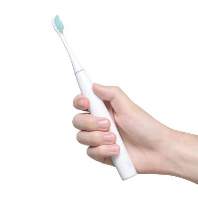 China Global Version Sonic Electric Toothbrush Waterproof Ultrasonic USB Rechargeable Automatic Adult Electric Toothbrush Battery Operated for sale