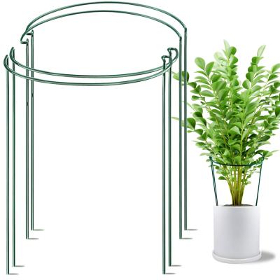 China Iron 4mm Plant Support Rose Plant Bracket Flower Stand Plant Climbing Support for sale