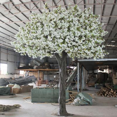 China Eco-friendly Pink Blossom Tree Gnw Tree Red Blossom Tree Blossom Tree for sale