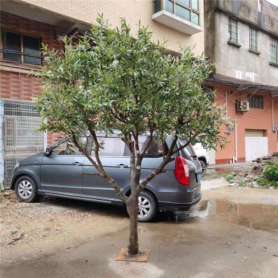 China Small Olive Tree Outdoor Olive Trees Minimalist Olive Artificial Tree for sale