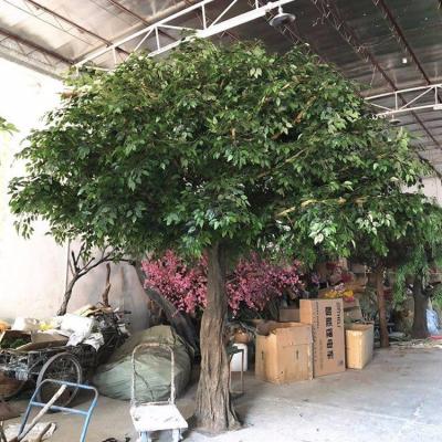 China Minimalist Plastic Plants Wholesale Artificial Tree Plant For Garden for sale