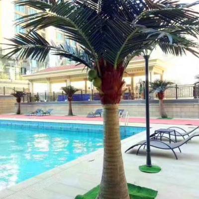 China Outdoor Fake Palm Trees 3Meter Anti-UV Artificial Palm Tree for sale