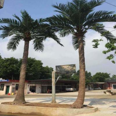 China Anti-UV Artificial Coconut Tree Palm Tree for sale