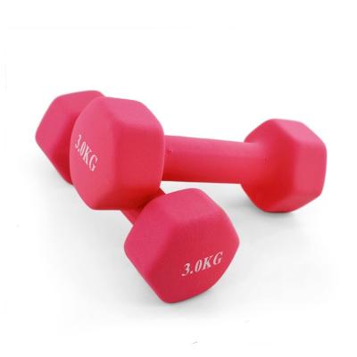 China Wholesale Yoga Exercise Hexagon Exercise Rubber Covered Dumbbells For Gym /indoor Sports for sale