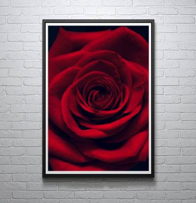 China Abstract Red Rose Canvas Painting Print Nature Flower Wall Art Flowers Print Floral Art for Home Decor for sale