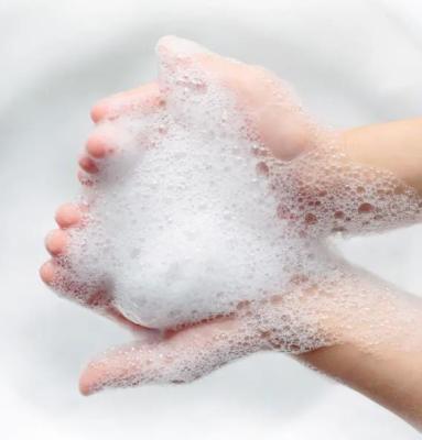 China Zj008-l bijkomende Vloeibare Detergent 4292 10 8 Haarverzorgingingrediënten die, het dik maken, schoonmakend Hard bestand water schuimen Te koop