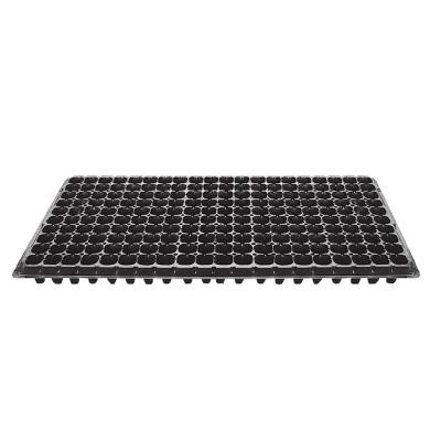 China Eco - Friendly Durable 200 Cell Seedling Seed Starter Seed Sprouter Tray Polastic for sale