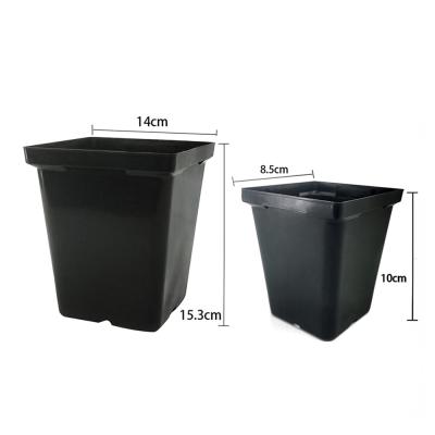 China Eco-friendly Half Gallon 2 Gallon Tall Orchid Flower Seed Pot Plastic Seed Planter Nursery Pot for sale