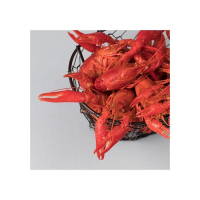 China Chinese New Season Xinliangji Jelly Flavor Spicy Boiled Crayfish Delicious and Fragrant JELLY for sale