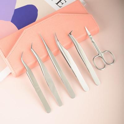 China High Quality Portable Stainless Steel 6Pcs Lash Eyelash Extension Tweezers Set for sale