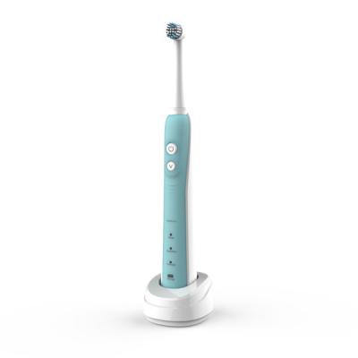 China Battery Powered Shape Stylish Oral Care Soft Waterproof Rotary Electric Toothbrush With 100% Comfortable for sale