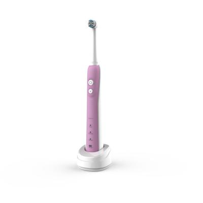 China Battery Operated Teeth Clean Electric Toothbrush Handle Electric Toothbrush Travel for sale