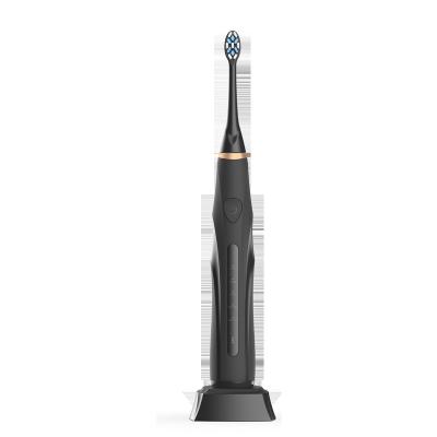 China Battery Operated China Manufacturing Automatic Sonic Electric Toothbrushes For Adult Professional Rechargeable Electric Toothbrush Home for sale